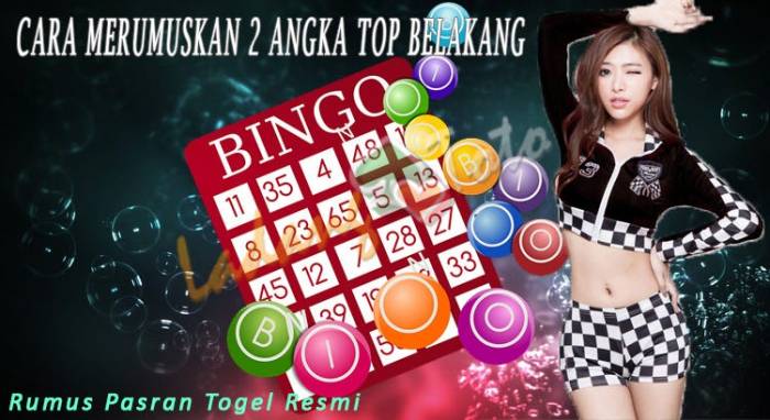 Angka 2D singa togel pasti tembus terbaru